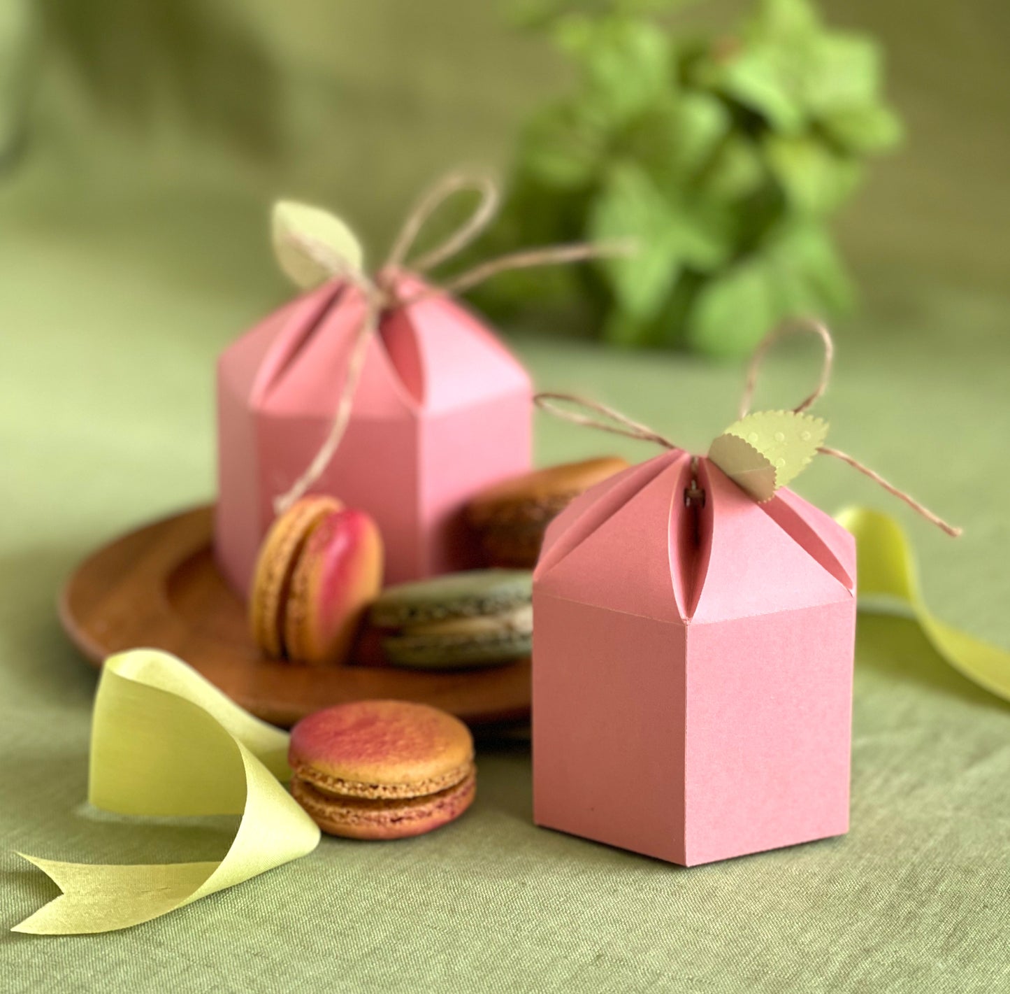 Six Sided Origami Treat Box