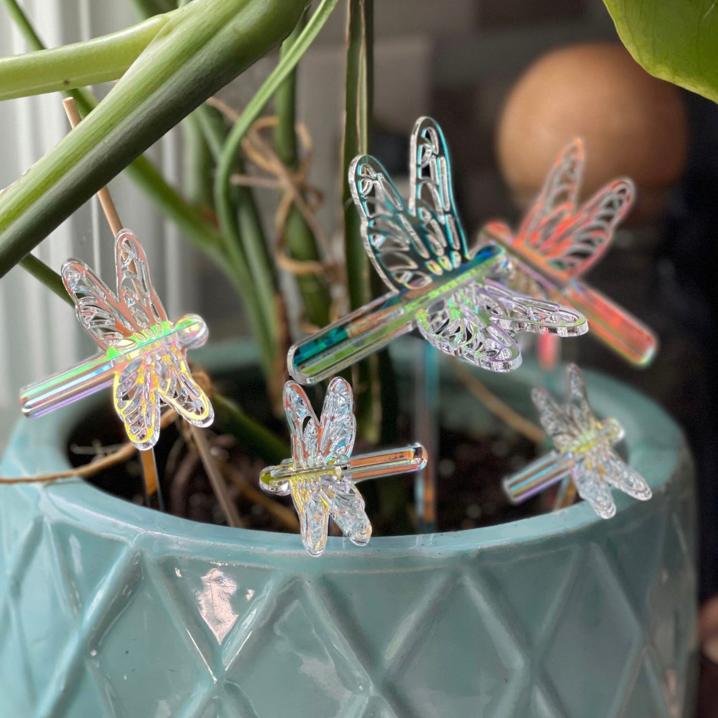 Mini Dragonfly Plant or Garden Stakes (Set of 5)