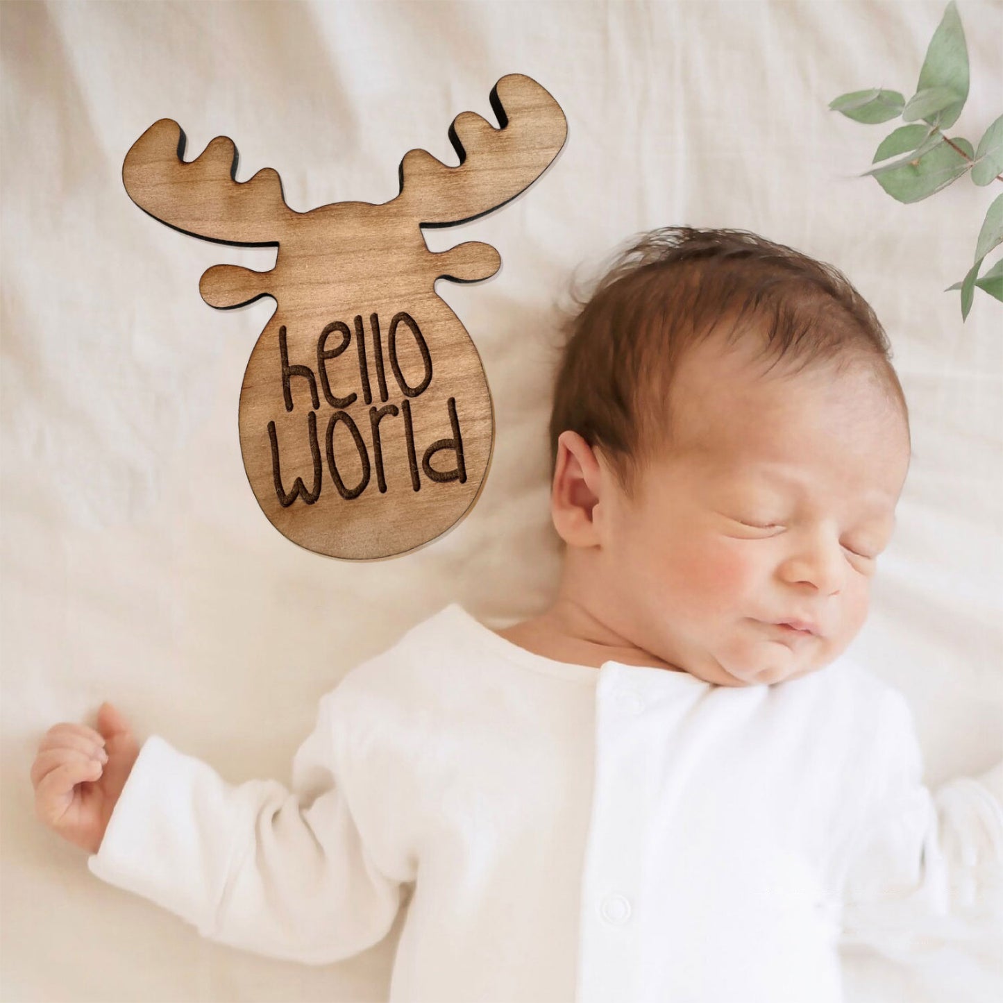 Moose Monthly Milestone Baby Markers (Set of 13)