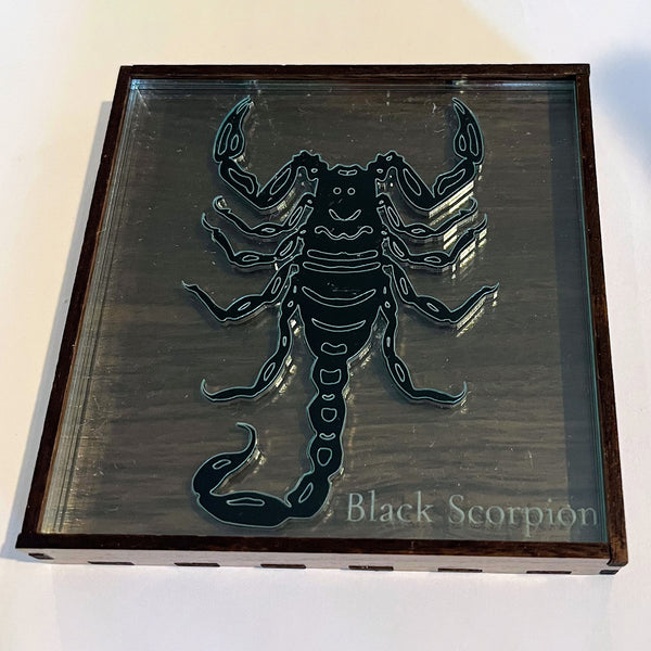 Arachnologist Desk Display - Black Scorpion – Glowforge Shop