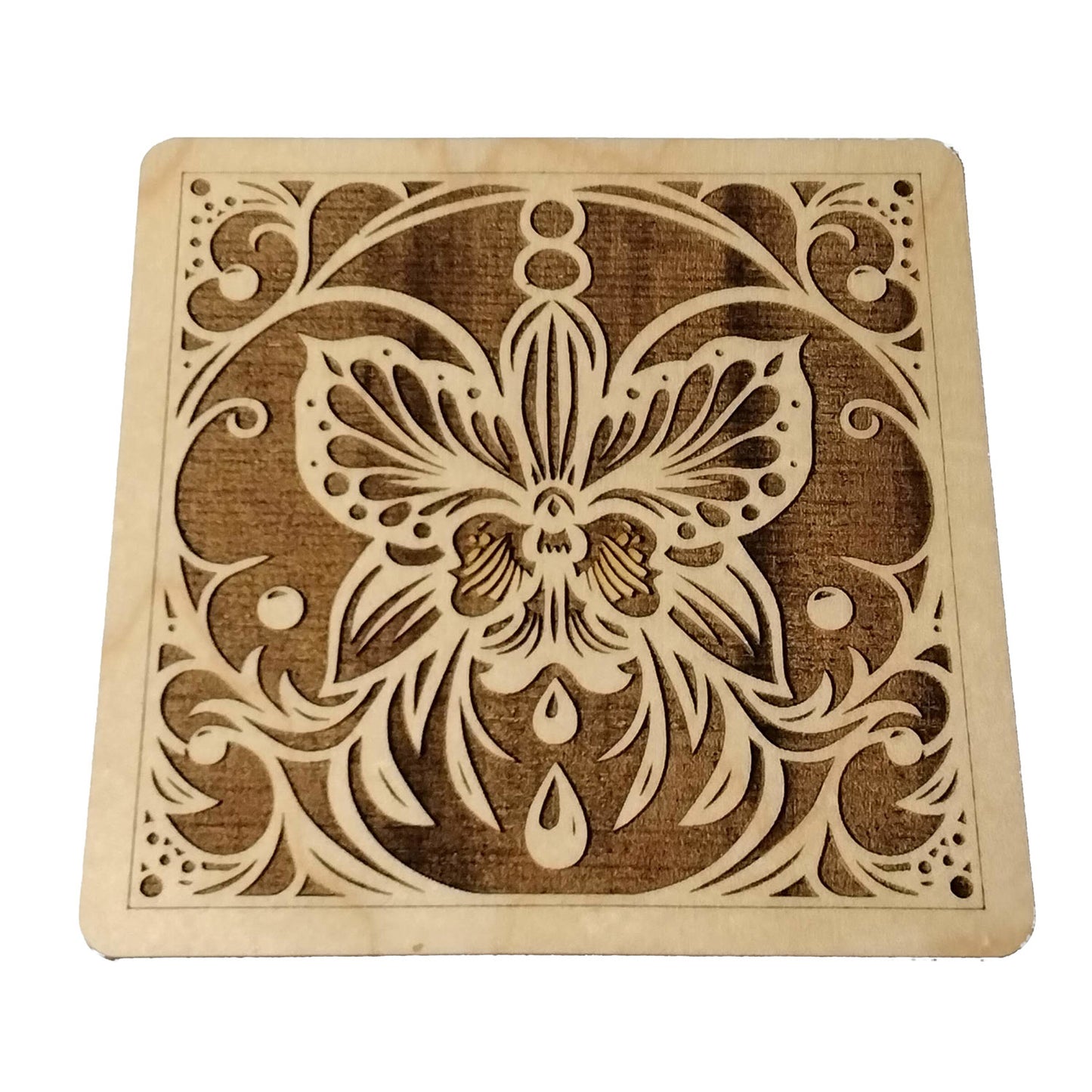 Beautiful Butterfly Orchid Square Coaster