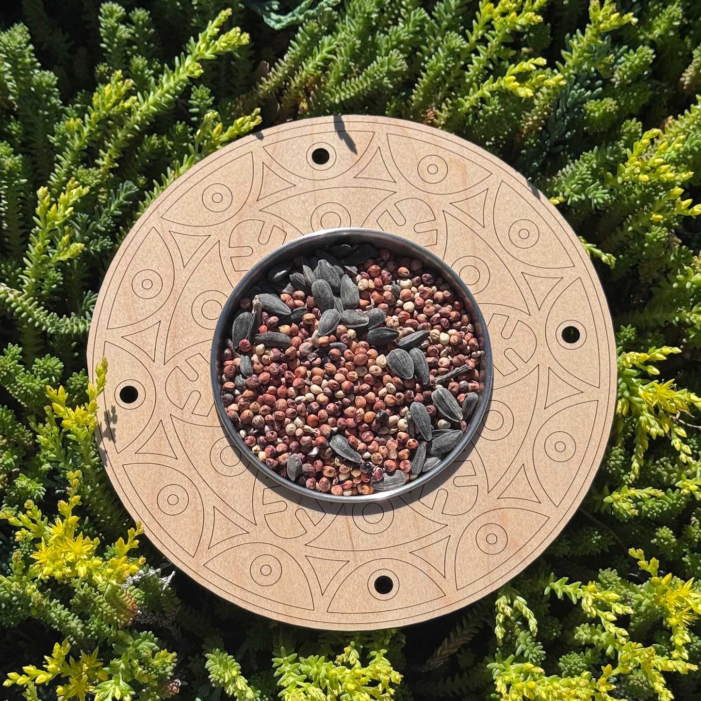 Circle Mandala Bird Feeder Kids Craft - Glowforge