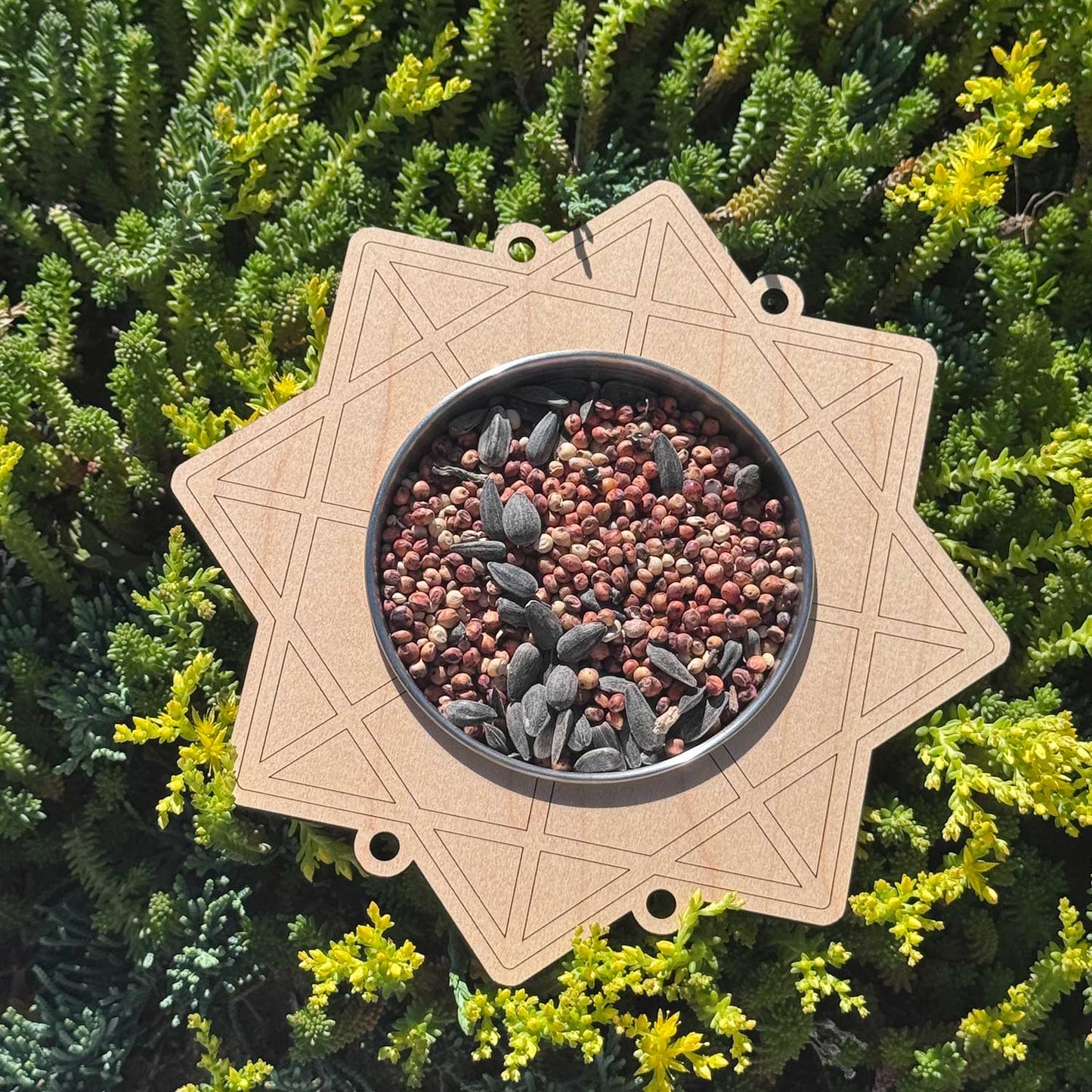 Geometric Shapes Bird Feeder Kids Craft - Glowforge