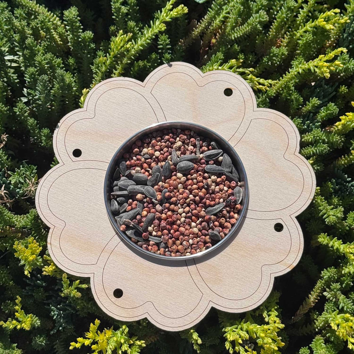 Heart Flower Bird Feeder Kids Craft - Glowforge