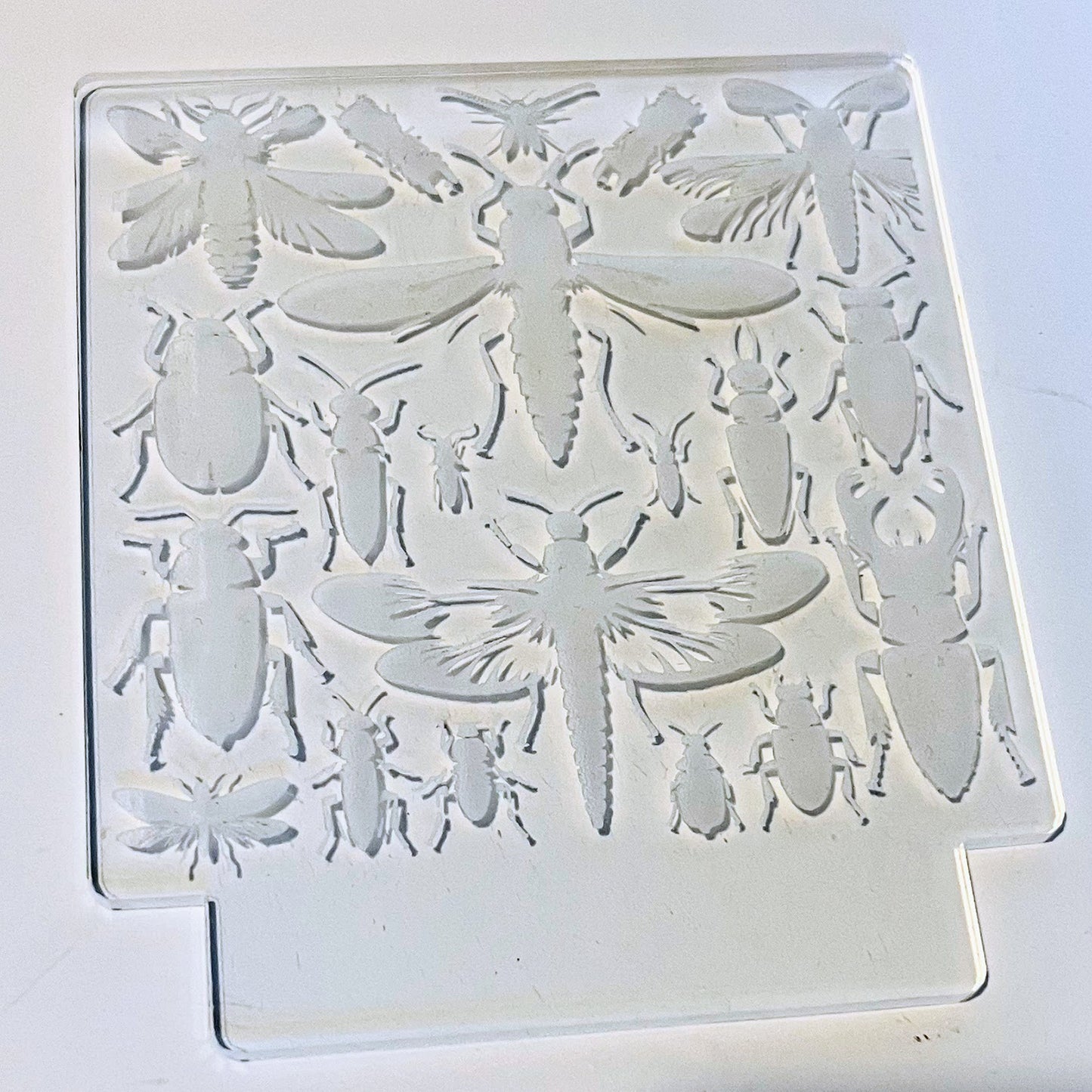 Insects and Bugs Enthusiast LED Nightlight Insert