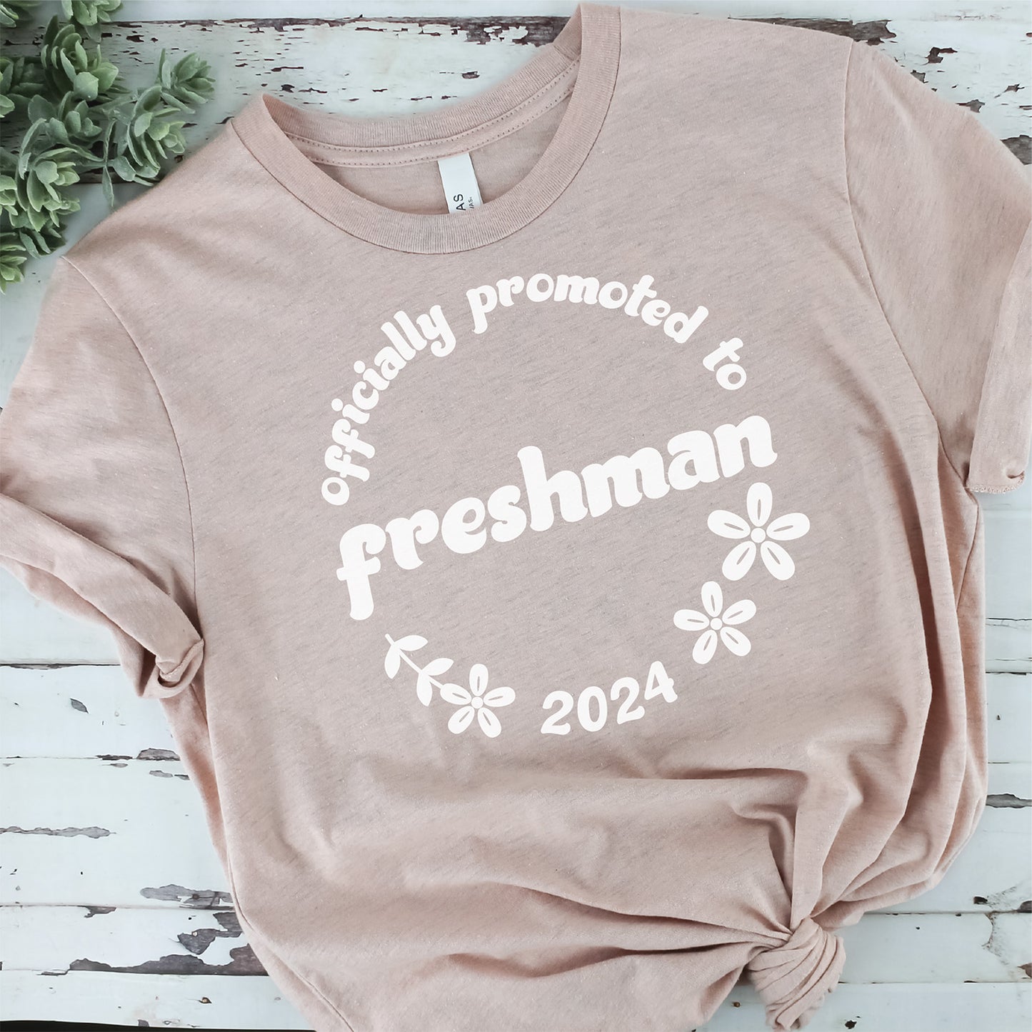 Officially Promoted to Freshman Graphic - Last Day of Middle School