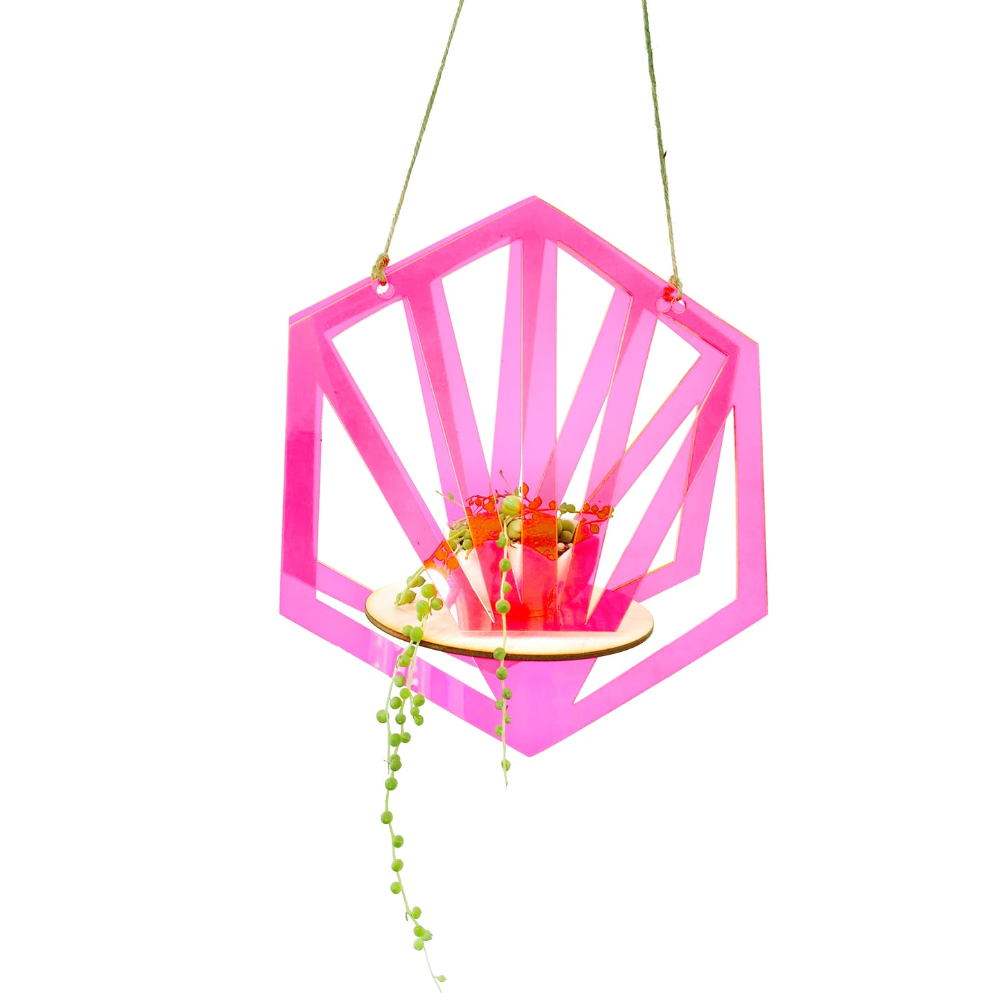 Hexagon Hanging Planter