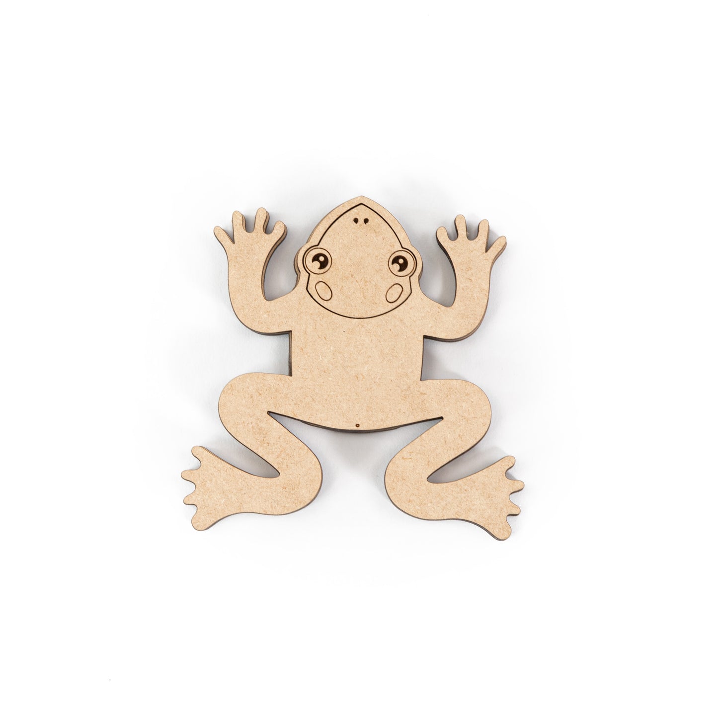 Frog Dissection Small (Set of 4)