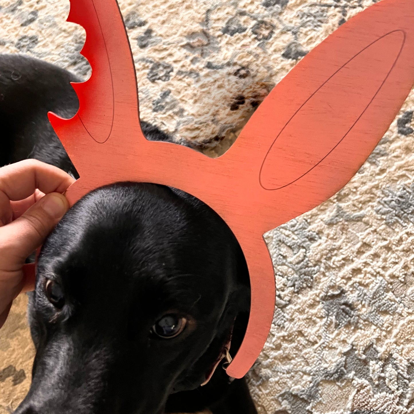 Chocolate Bunny Costume (set of 2)