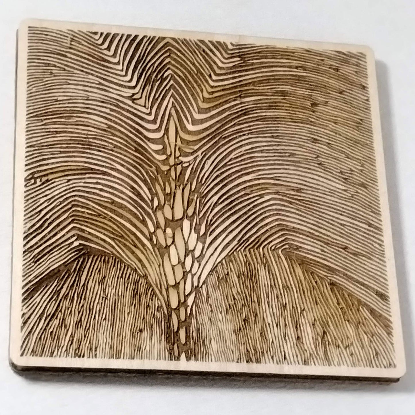A Rich Palm Square Coaster