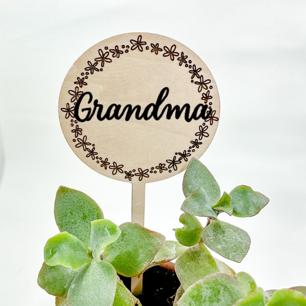 Customizable Plant Stake - Perfect Mother's Day Gift