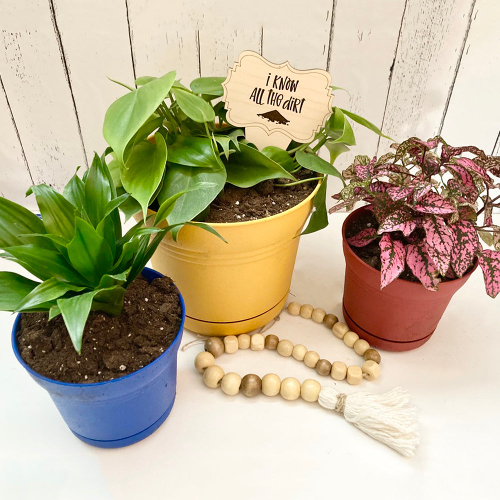 Funny Plant Stakes (Set of 12)