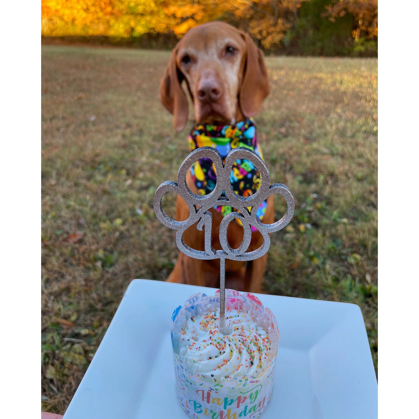 Paw Print Birthday Cupcake Topper for your Furry Friend (From 1-15)