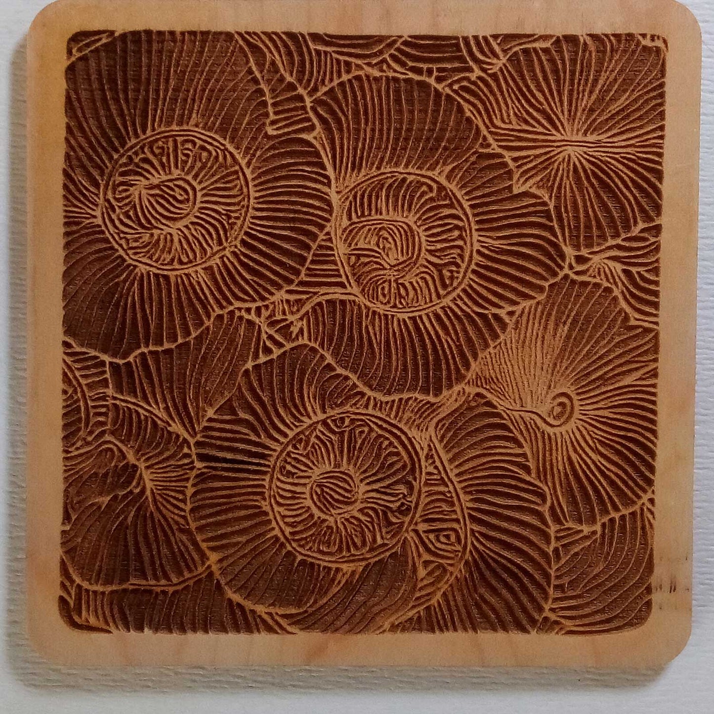 Poppy Field Close Up Square Coaster