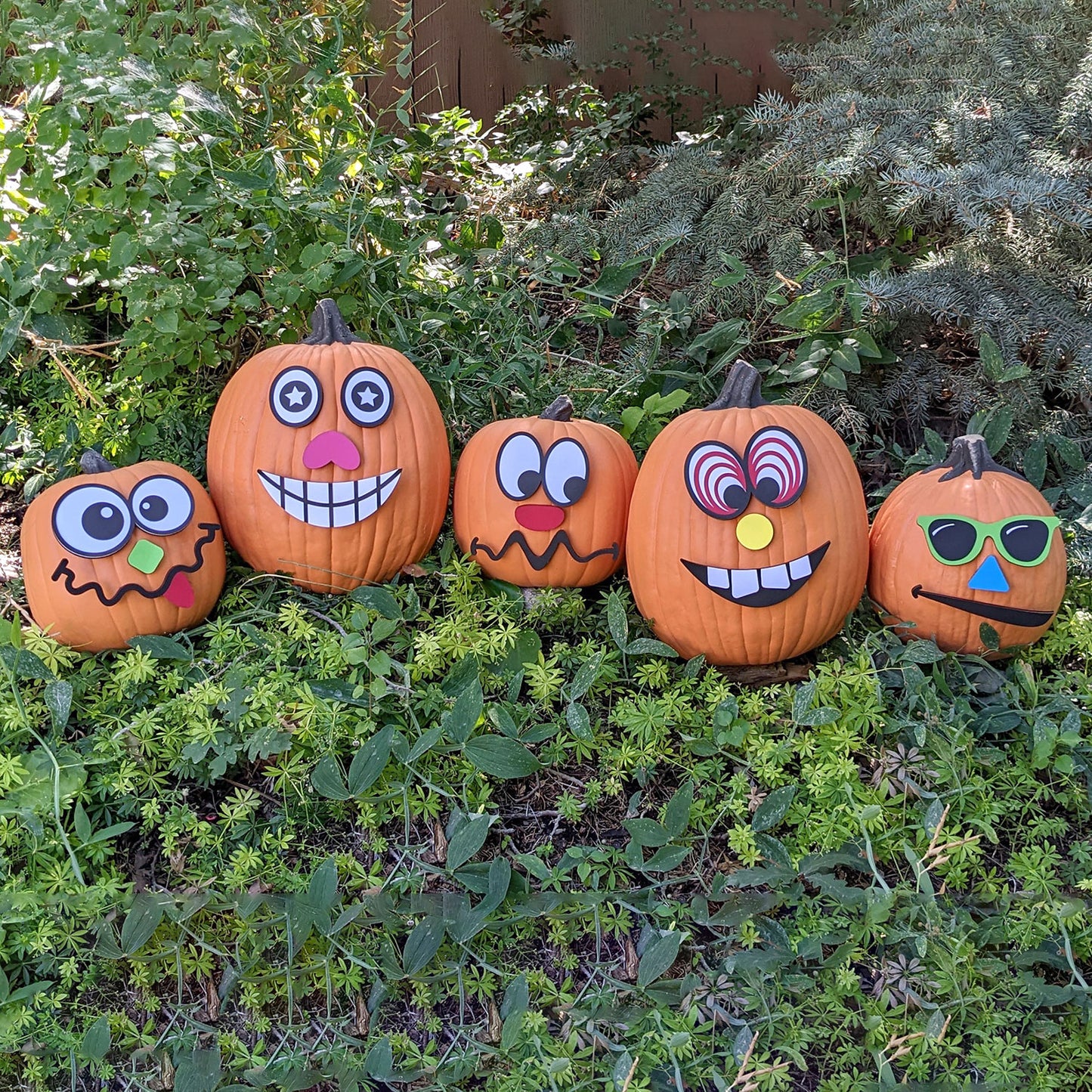Pumpkinhead - No-carve Jack-o’-lantern Kit: Mix and Match