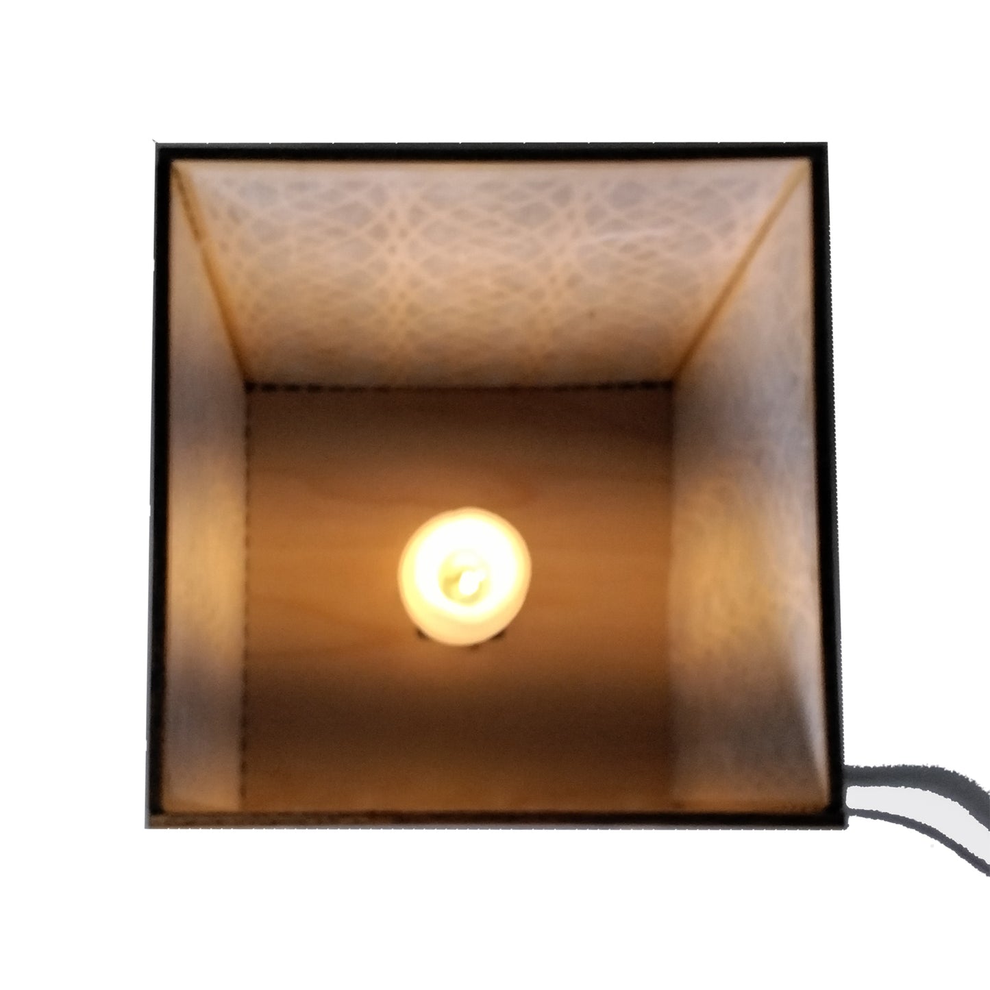 The Famous Double Helix Lamp with Feet, Mulberry Paper, and a 110V Lamp