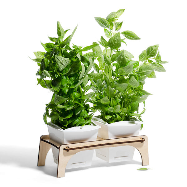 herb plant stand indoor Windowsill Herb Planter and Stand – Glowforge Shop
