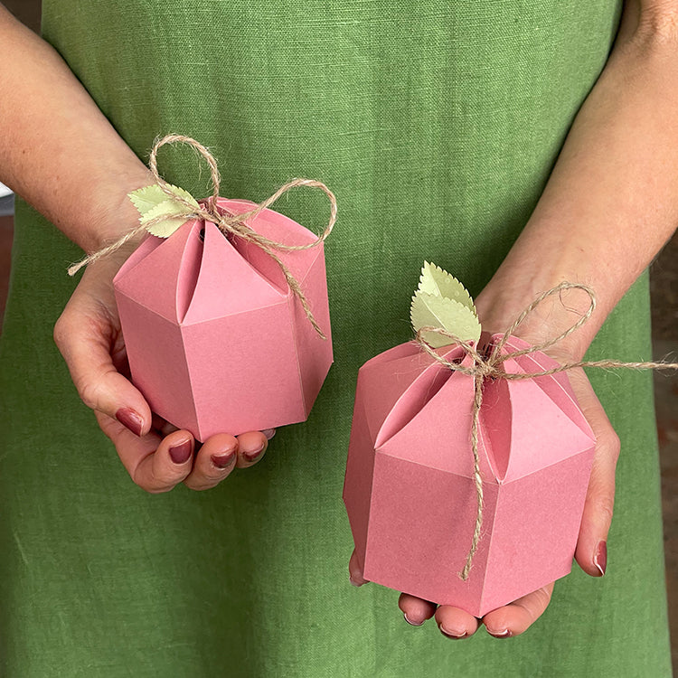 Six Sided Origami Treat Box – Glowforge Shop