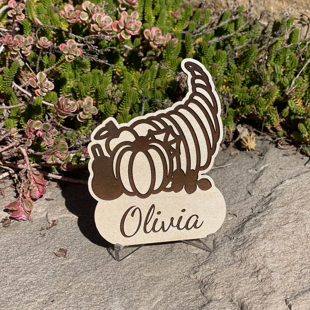 To survice thanksgiving my turkey pds To survice thanksgiving my turkey pds