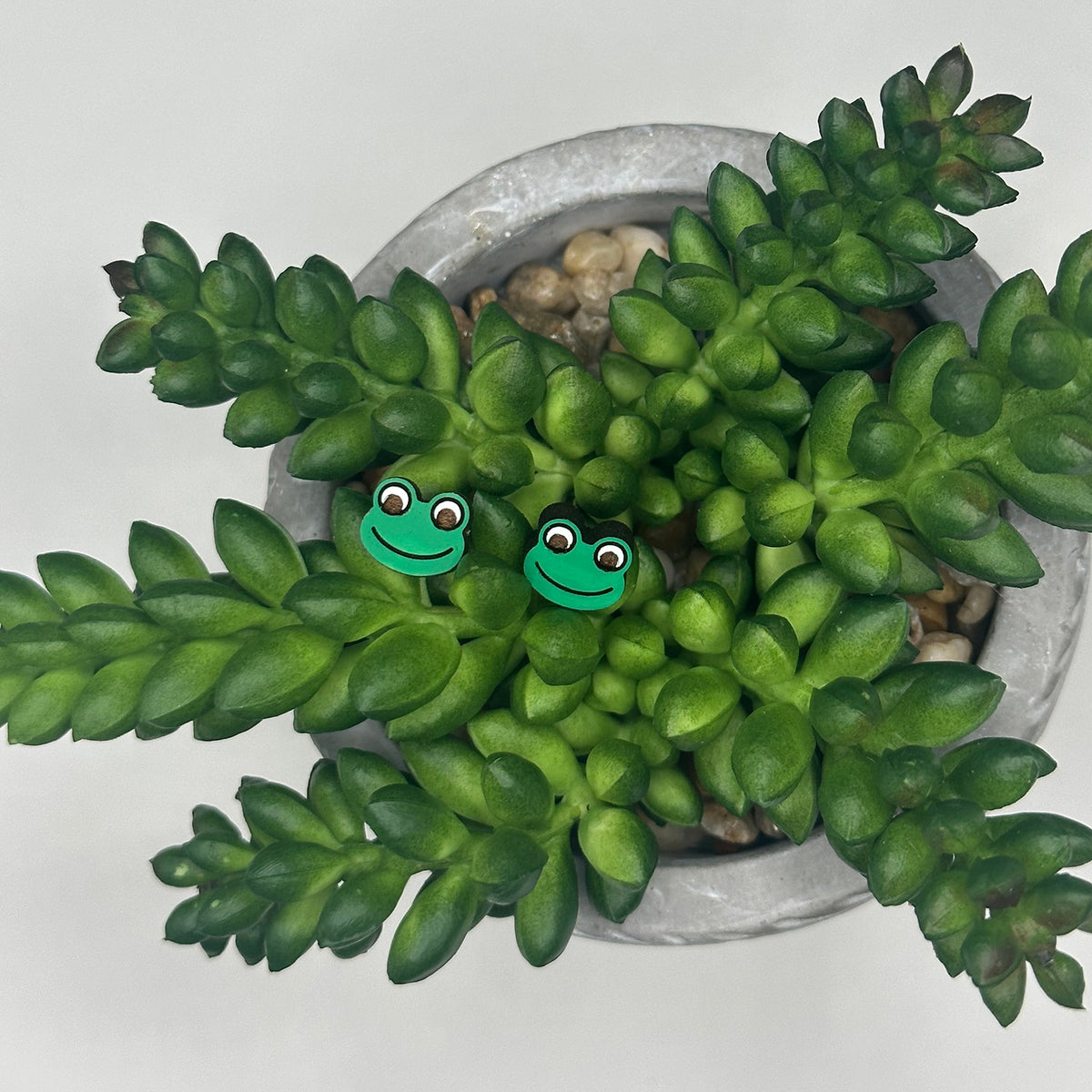 Cute Frog Stud Earrings – Glowforge Shop