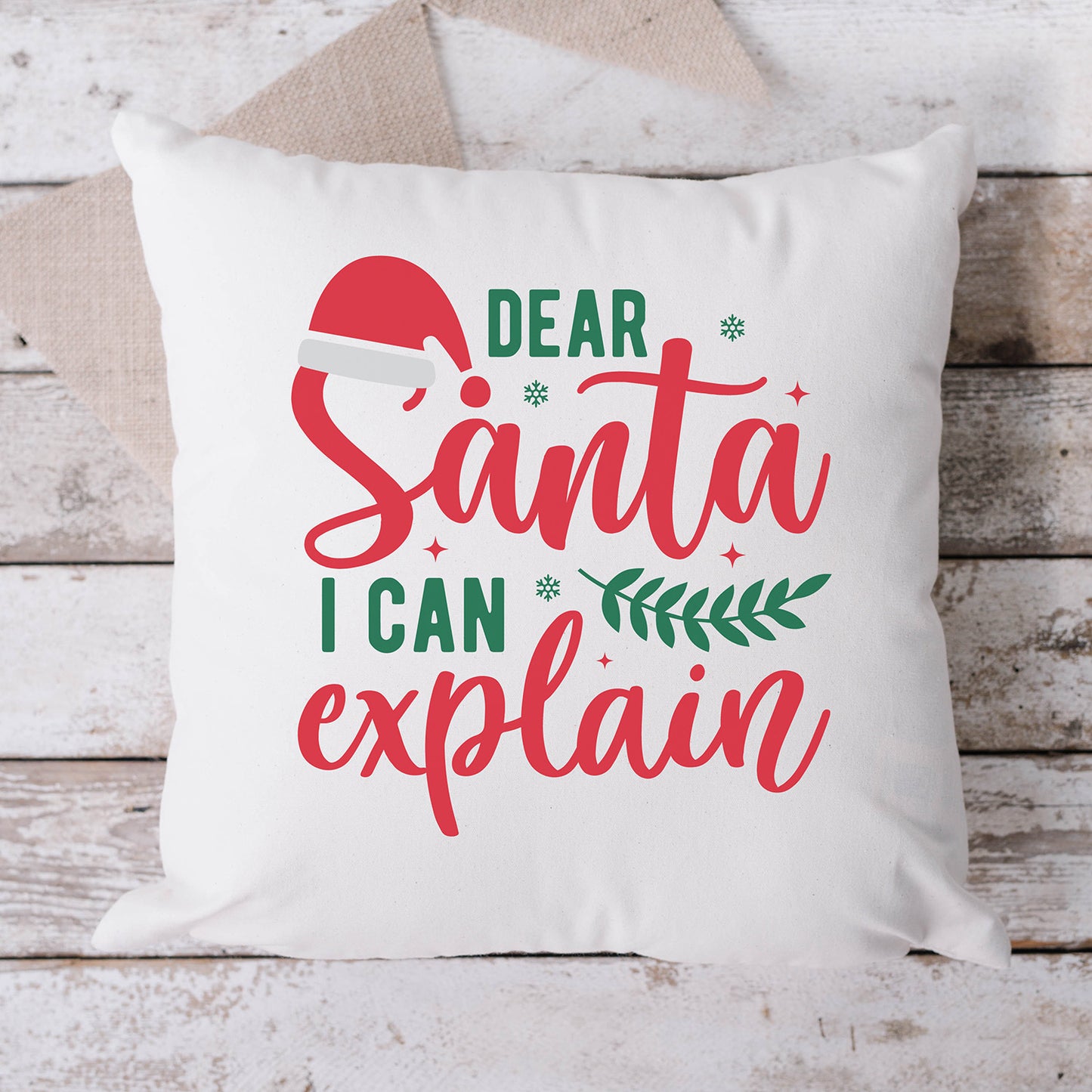 "Dear Santa I Can Explain" Graphic