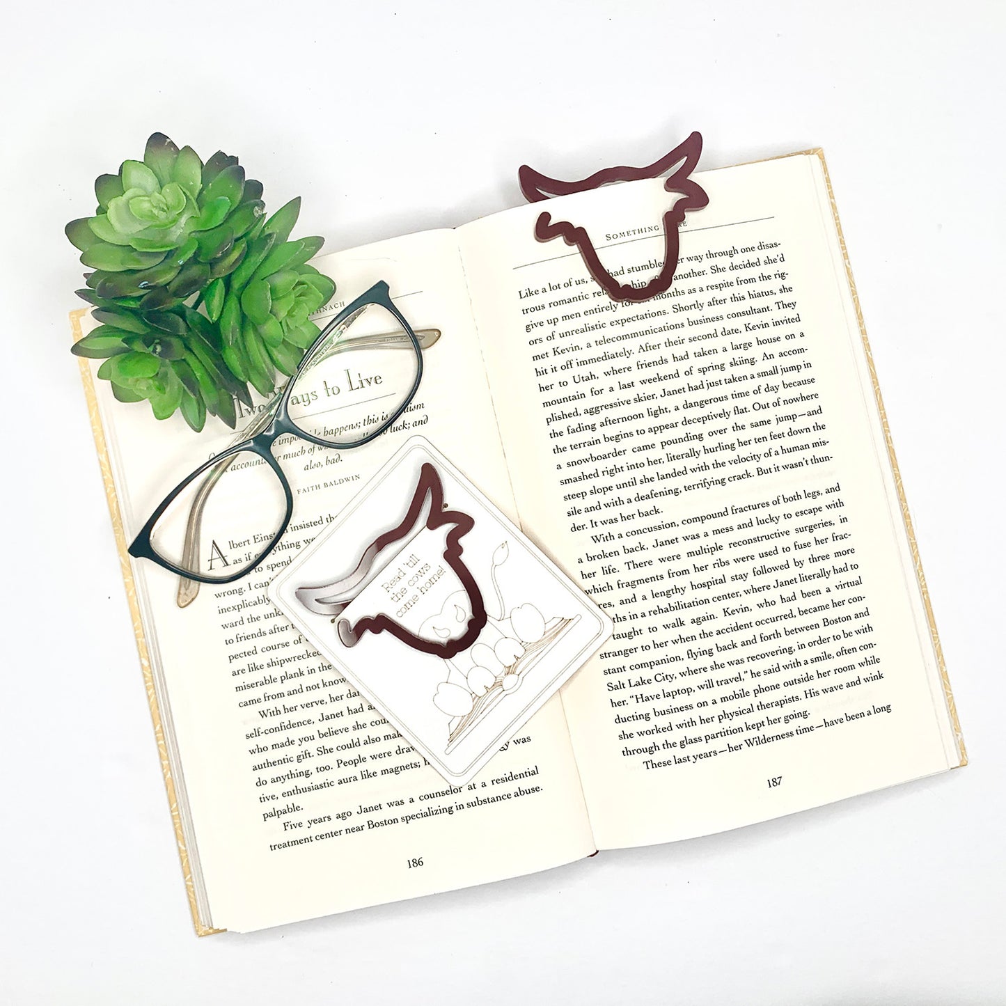 Highland Cow-Shaped Bookmark with Card Backer - Paperclip - Snack Bag Closure