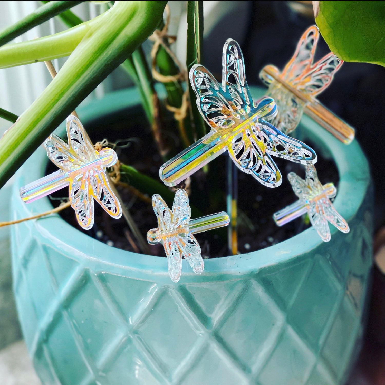 Mini Dragonfly Plant or Garden Stakes (Set of 5) – Glowforge Shop