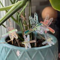 Mini Dragonfly Plant or Garden Stakes (Set of 5)