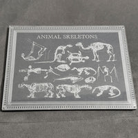 Animal Skeletons Art - Glowforge