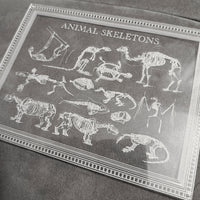 Animal Skeletons Art - Glowforge