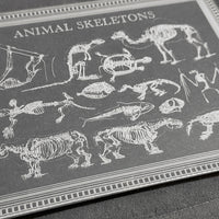 Animal Skeletons Art - Glowforge