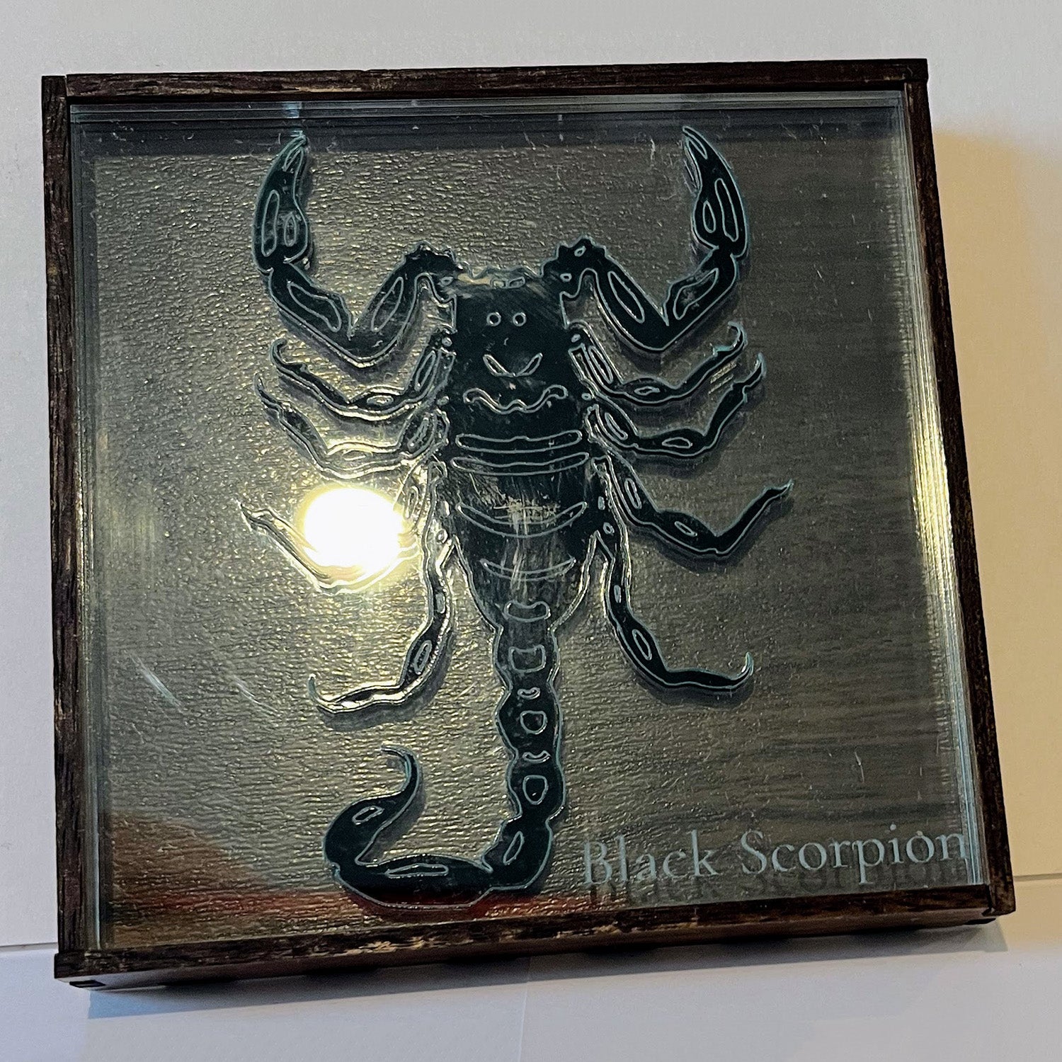 Arachnologist Desk Display - Black Scorpion – Glowforge Shop