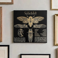 Cicada Chart Art - Glowforge