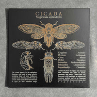 Cicada Chart Art - Glowforge