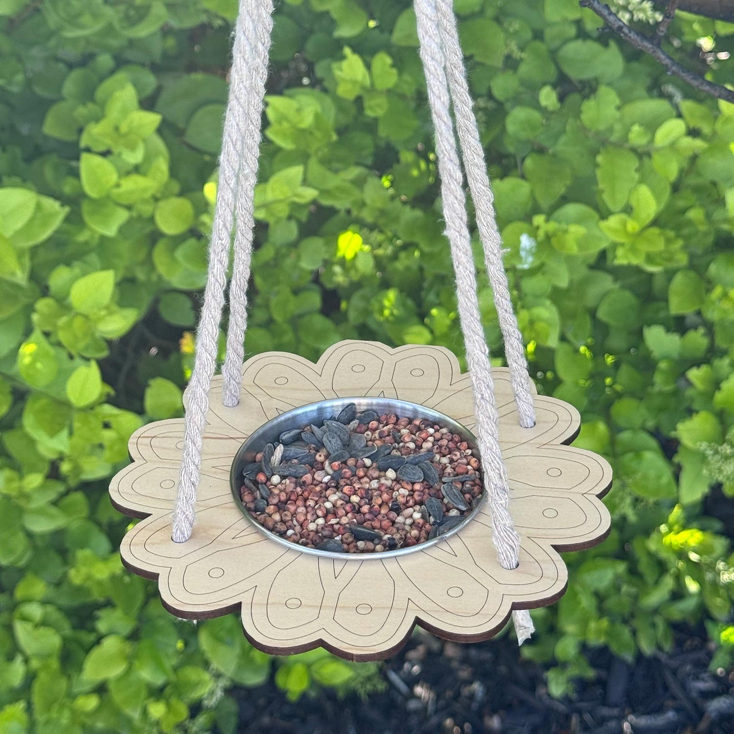 Daisy Flower Bird Feeder Kids Craft - Glowforge