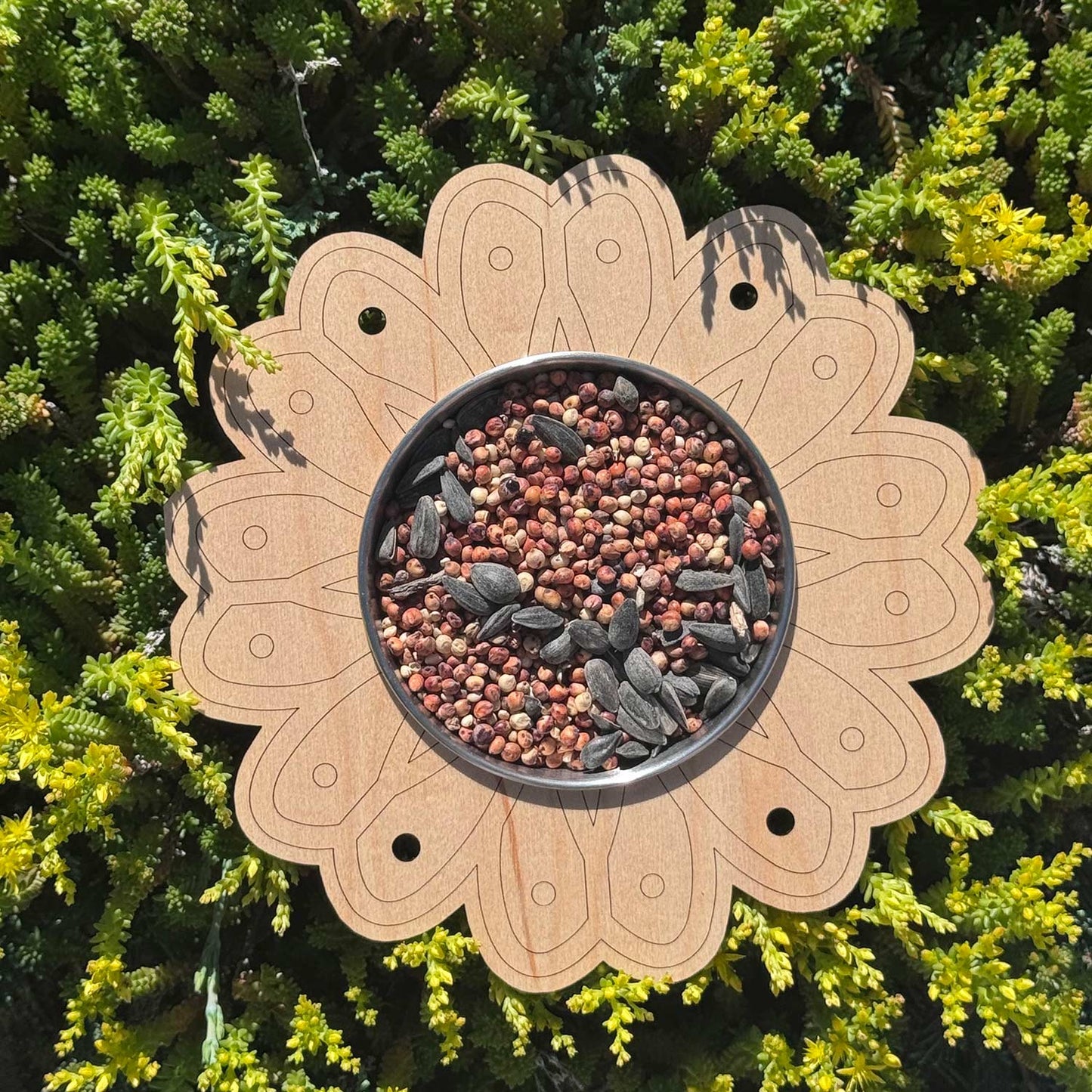 Daisy Flower Bird Feeder Kids Craft - Glowforge