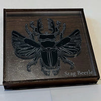 Entomologist & Arachnologist Desk Display Case