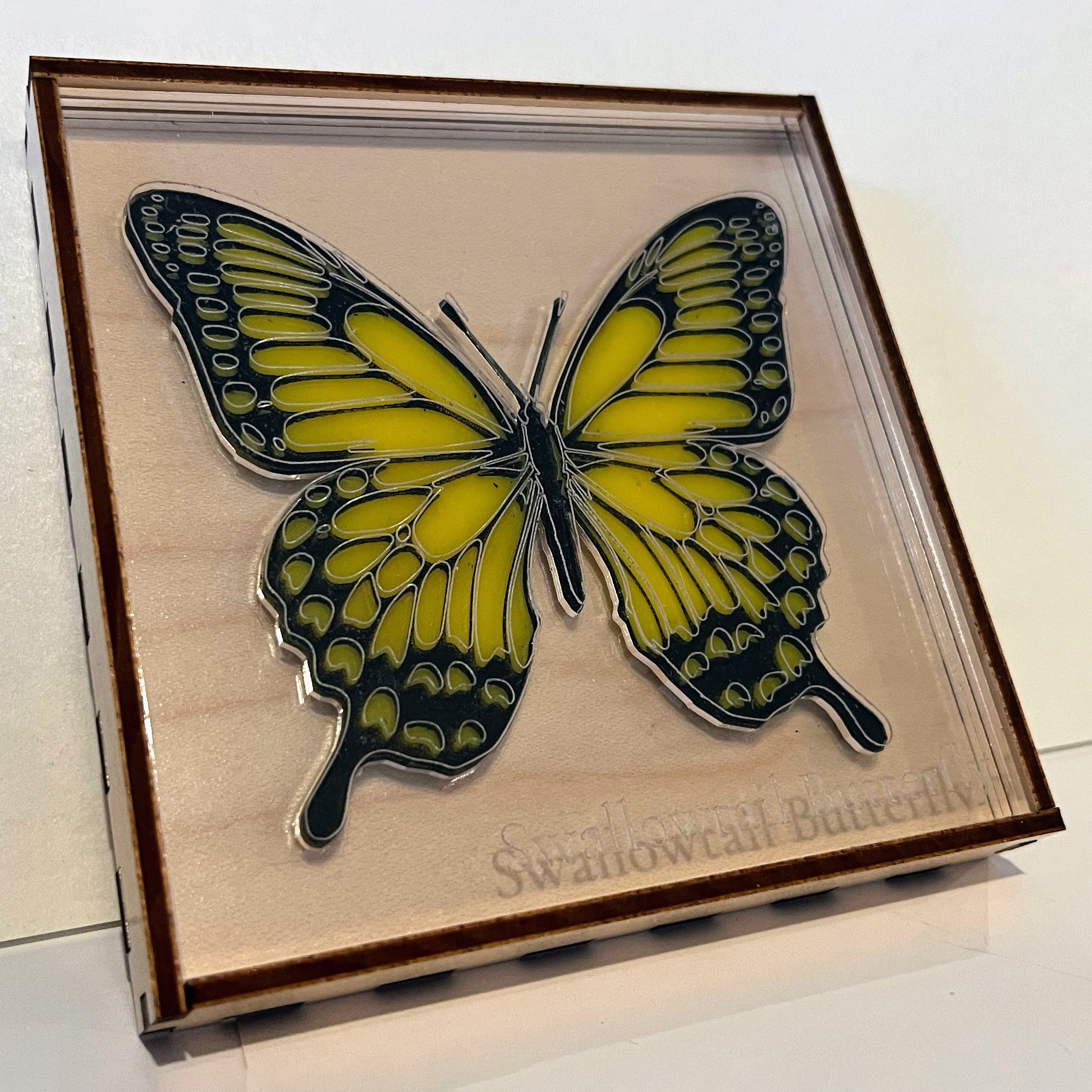 Entomologist & Arachnologist Desk Display Case – Glowforge Shop