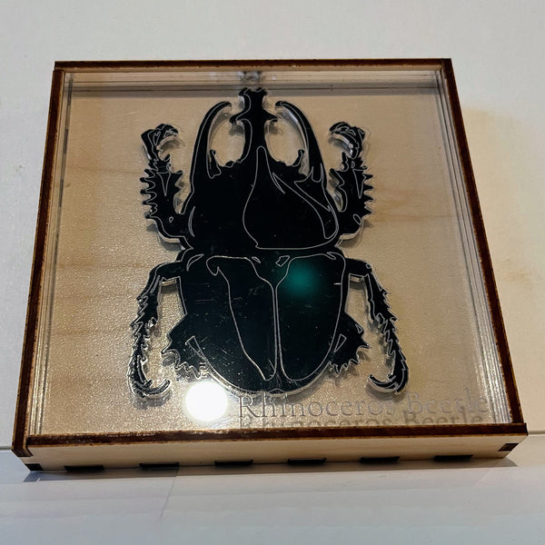 Entomologist Desk Display - Rhinoceros Beetle – Glowforge Shop