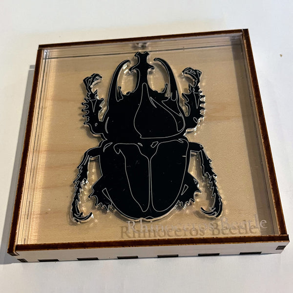 Entomologist Desk Display - Rhinoceros Beetle – Glowforge Shop