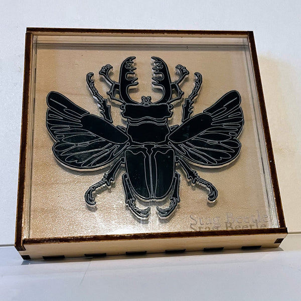 Entomologist Desk Display - Stag Beetle – Glowforge Shop