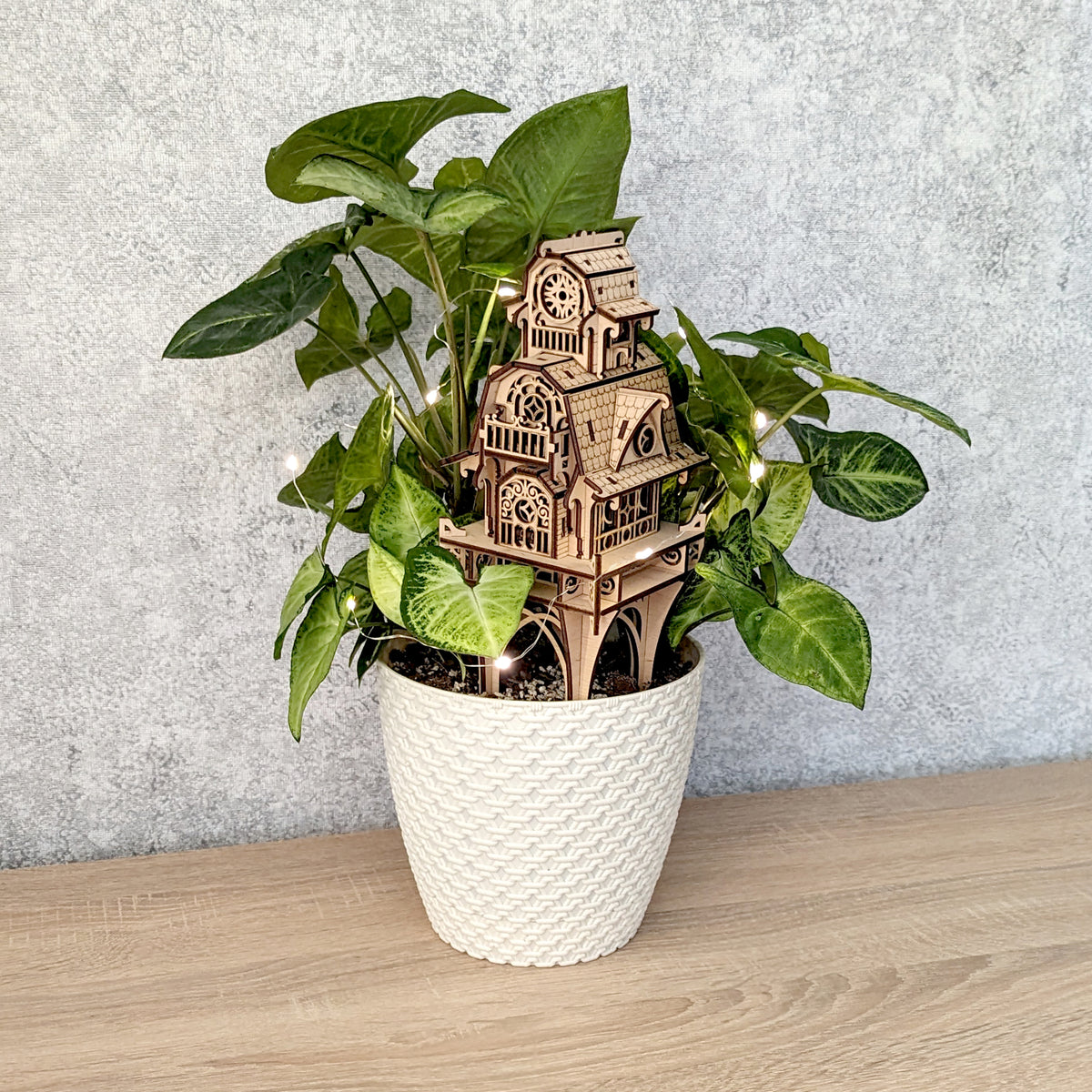 magical house plant Garden Magic House