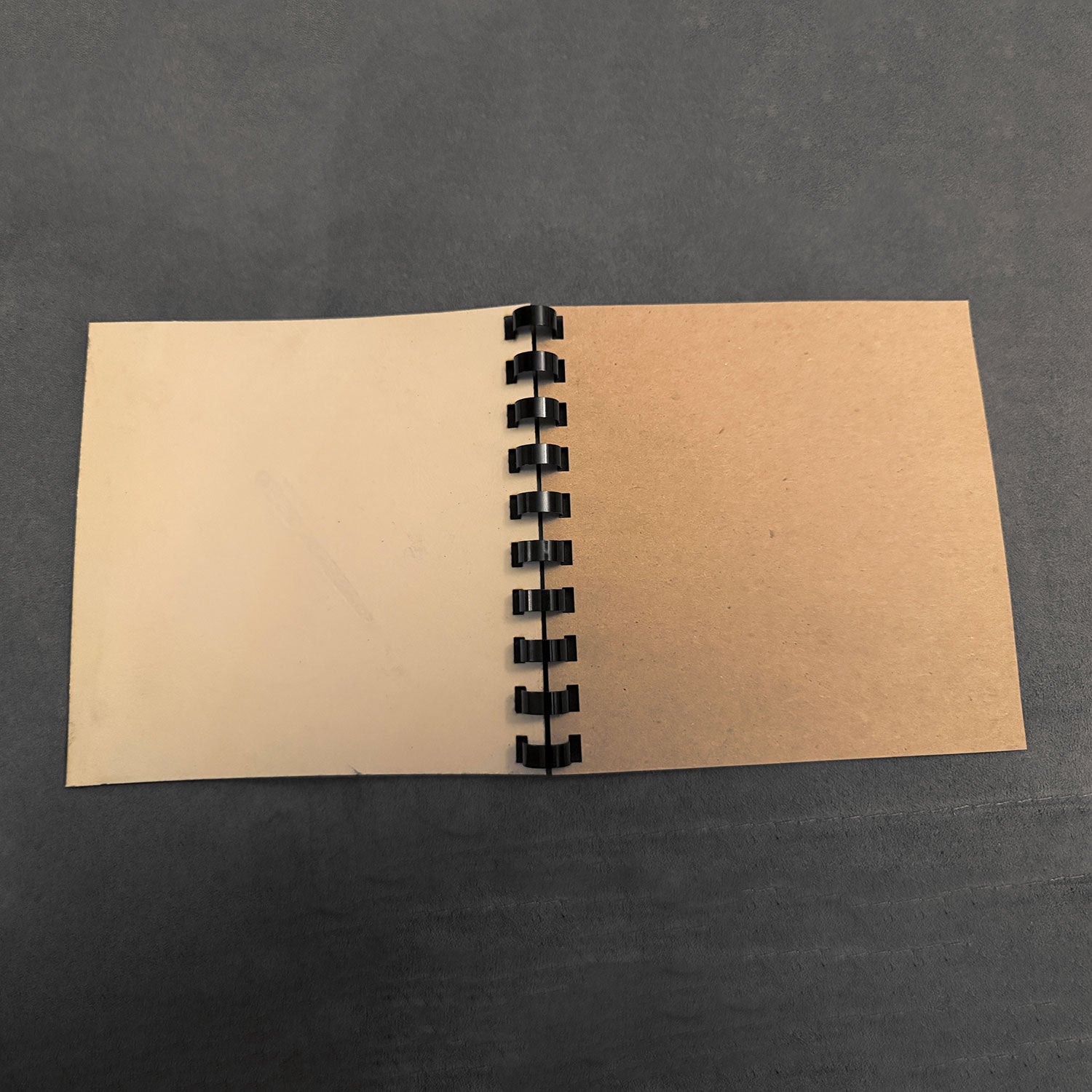 Inside A Ringed Notebook 1/2