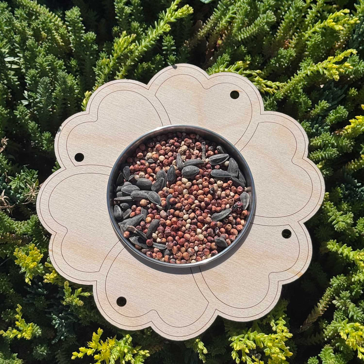 Heart Flower Bird Feeder Kids Craft - Glowforge
