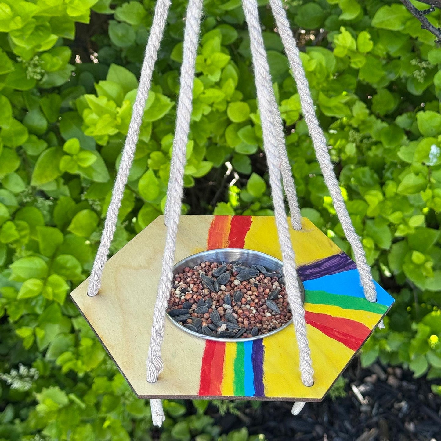 Hexagon Bird Feeder Kids Craft - Glowforge
