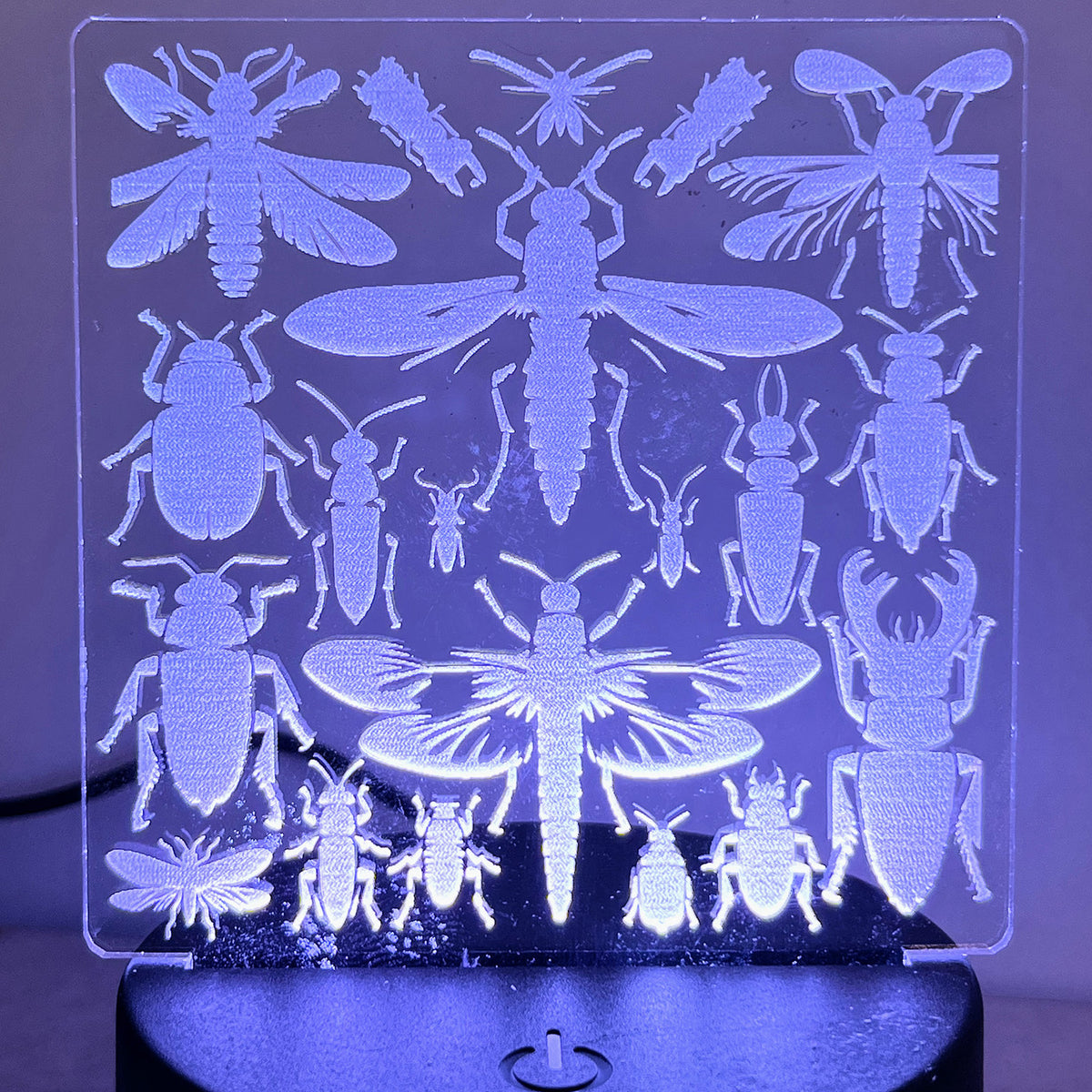 Led Lights Insects Insects and Bugs Enthusiast LED Nightlight Insert – Glowforge Shop