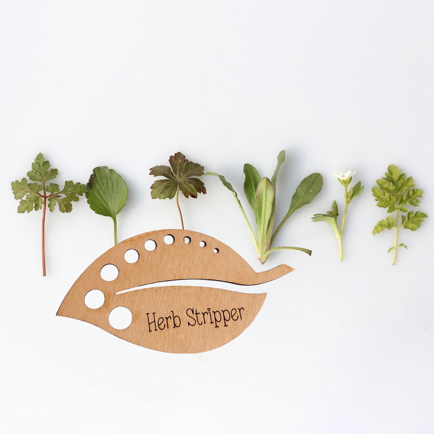 Kitchen Herb Stripper Leaf Guide - Glowforge