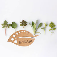 Kitchen Herb Stripper Leaf Guide - Glowforge