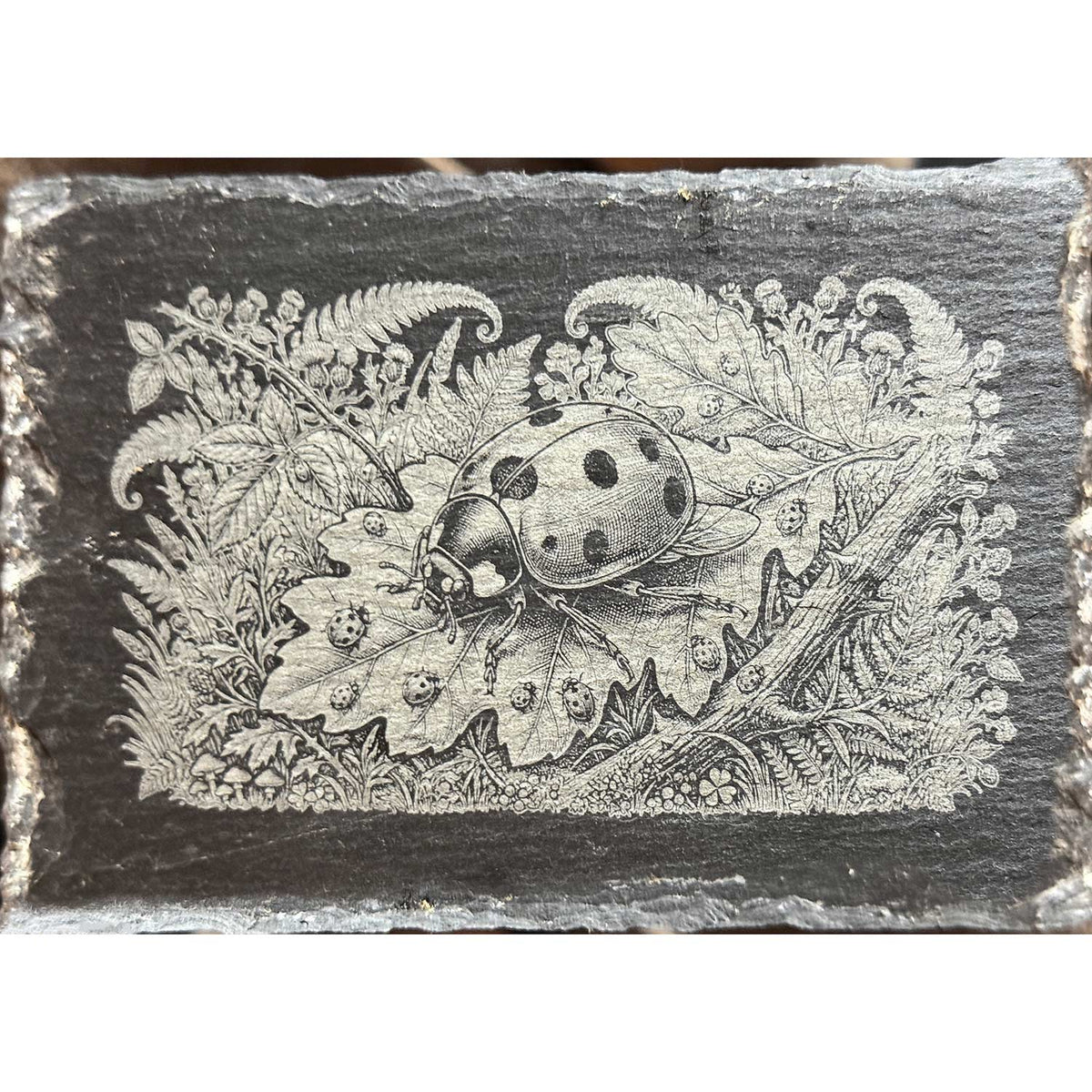 Ladybug and Foliage Illustration on Rectangular Slate Plaque - Glowforge