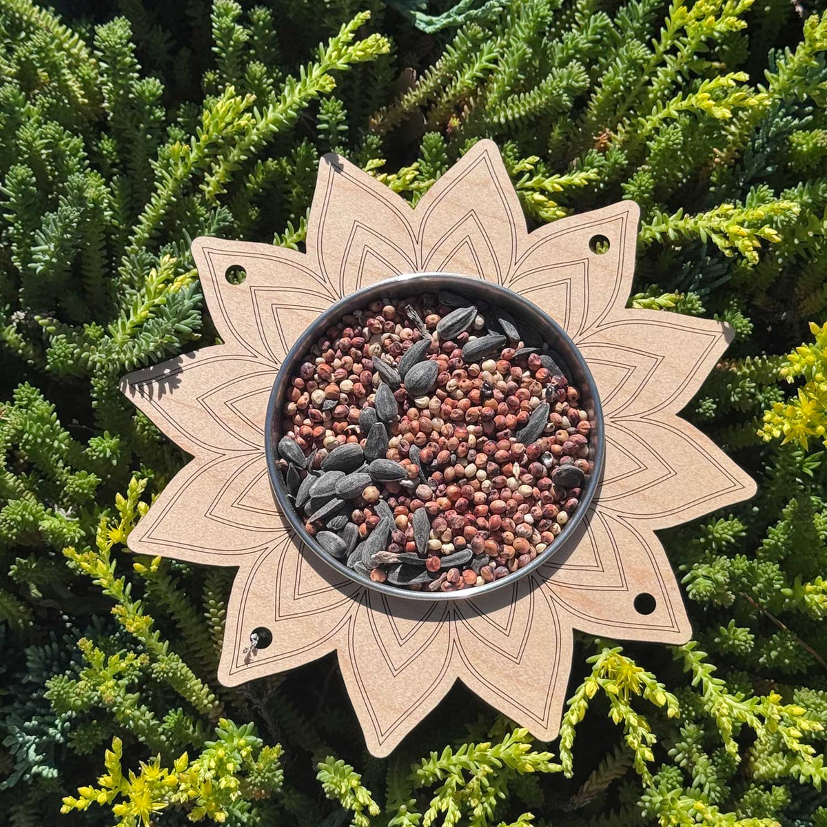 Mandala Flower Bird Feeder Kids Craft - Glowforge